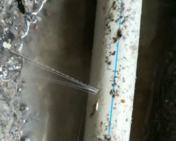 兴仁卫生间测漏水多少钱